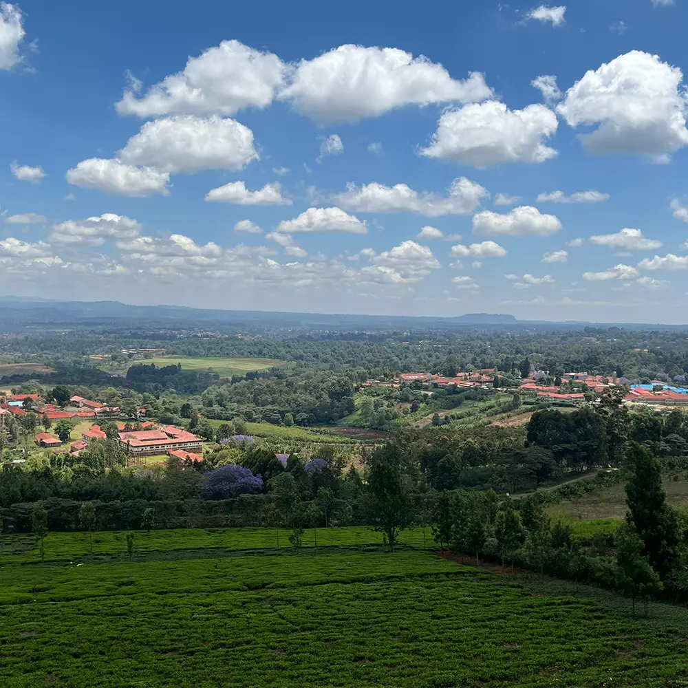View_Nyeri_Hill