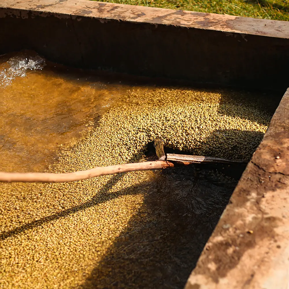 Etiopien_Shantawene_basin