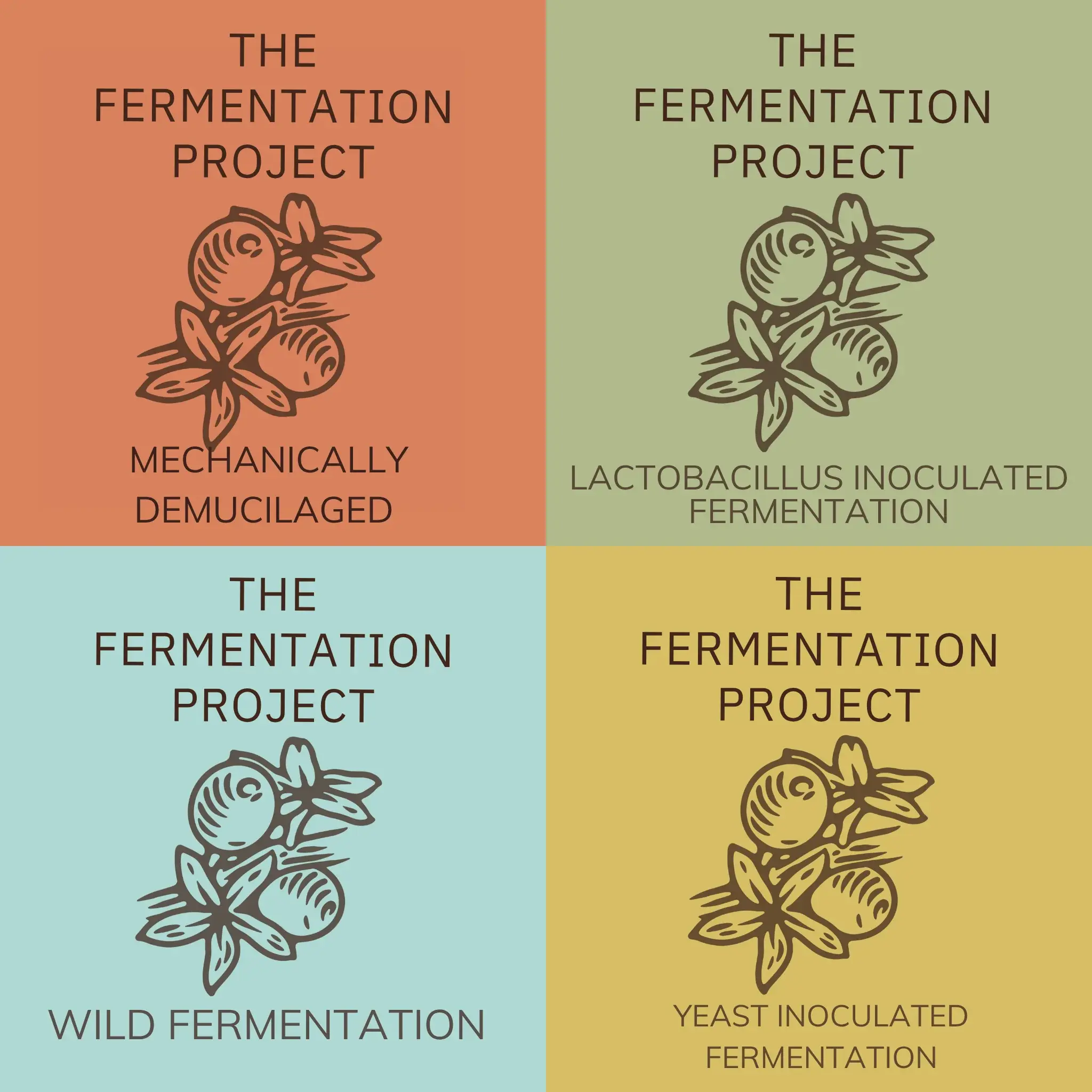 Cover_Fermentation_Project