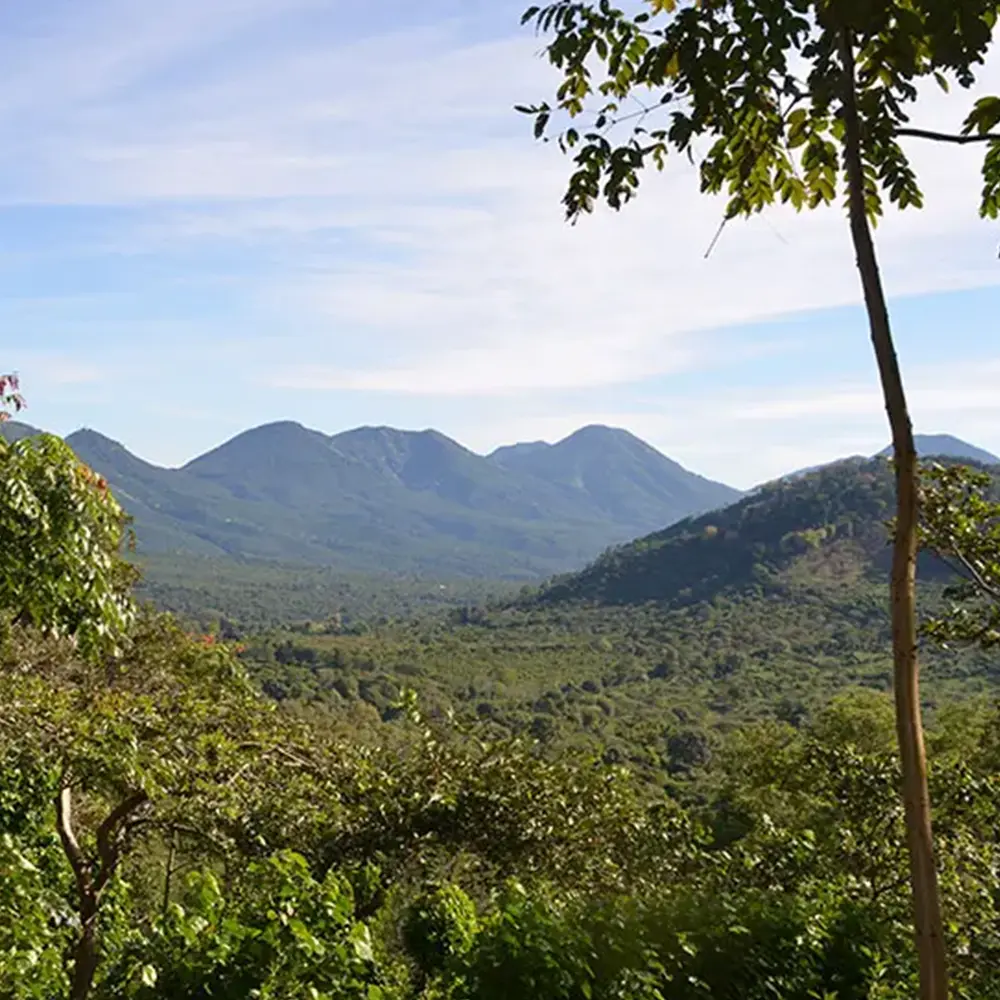Finca_El_Cerro_01