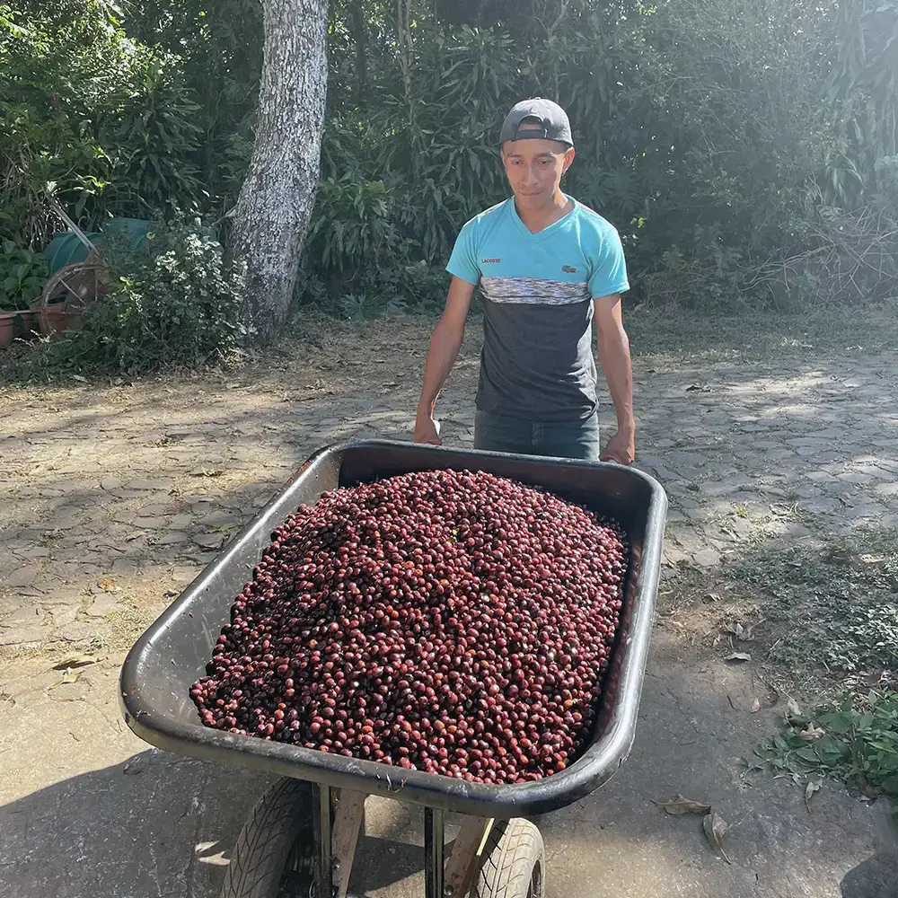 Finca_El_Cerro_02