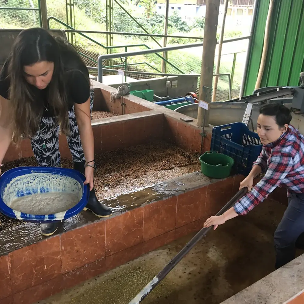 adding_yeast_Fermentation_Project